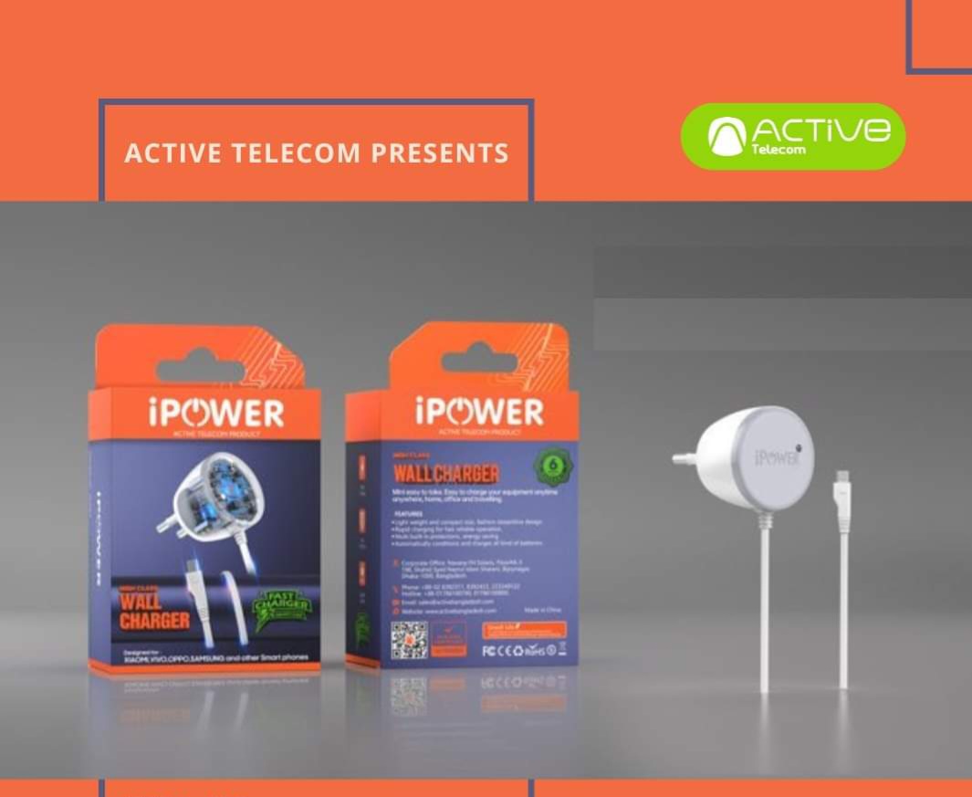IP1000J ipower -1Am Charger